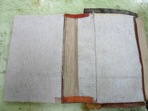z葴2E.jpg