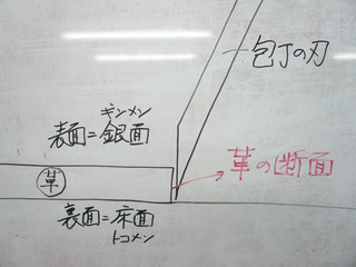 革の裁断F.jpg